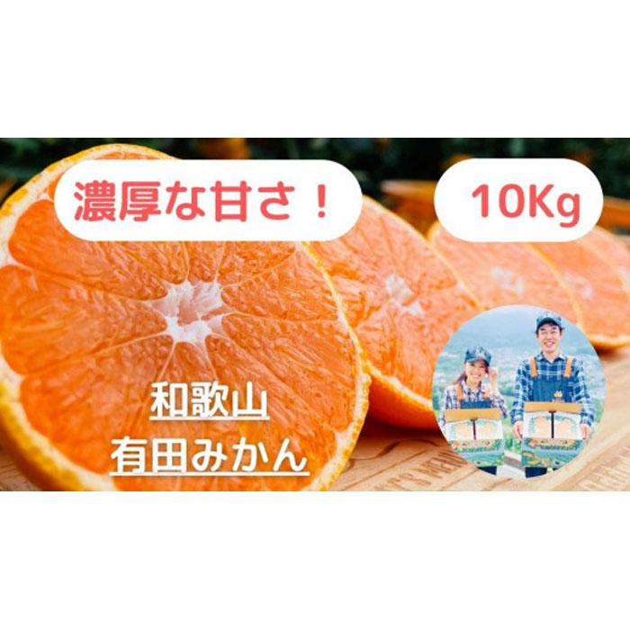 【ふるさと納税】【農家直送】濃厚な甘さの早生みかん10kg/【厳選小みかん】みかんのみっちゃん農園