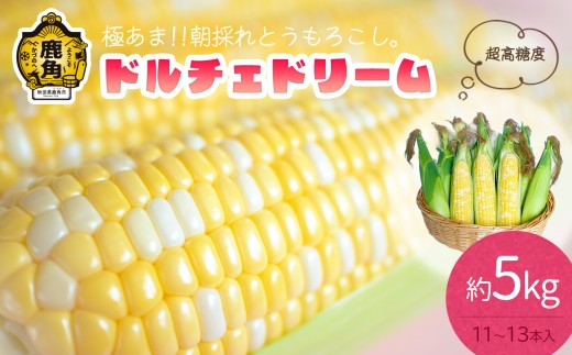 《先行予約》秋田県鹿角産 朝採り とうもろこし「ドルチェドリーム」約5kg（11～13本）【さとう農園】2026年8月10日以降発送開始 新鮮 野菜 安全 トウモロコシ スイートコーン フルーツコーン 中元 お歳暮 母の日 父の日 グルメ ギフト 故郷 秋田 あきた 鹿角市 鹿角 産地直送 農家直送