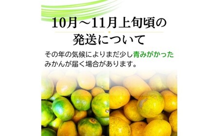 みかん 完熟有田みかん 約8kg＋150g(傷み補償分) 【ご家庭用】【10月発送】【nuk100-10】