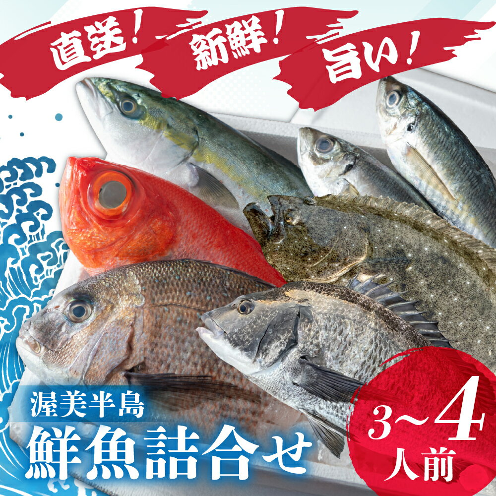 【ふるさと納税】伊良湖直送　昼採れ鮮魚詰め合わせ特選セット 下処理済み 魚セット 愛知県 田原市 海鮮 魚介類 魚 鮮魚 鮮魚セット 詰合せ 魚 お魚