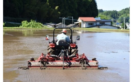 【代掻き】先ずは、田植え前の大事な作業…トラクターでしっかり耕耘した圃場を、水を張って均し、稲が根を張りやすい環境を作ります。