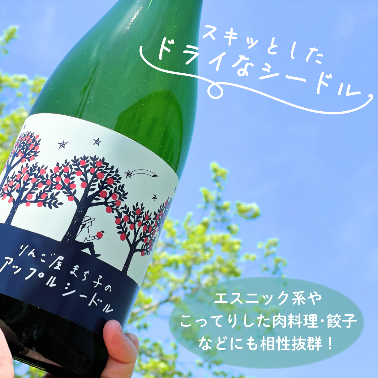 アップル シードル 750ml ワイン 500ml 2本セット 辛口 りんご 林檎 りんごワイン 酒 果実酒 スパークリングワイン 米崎りんご[suripikusu005]