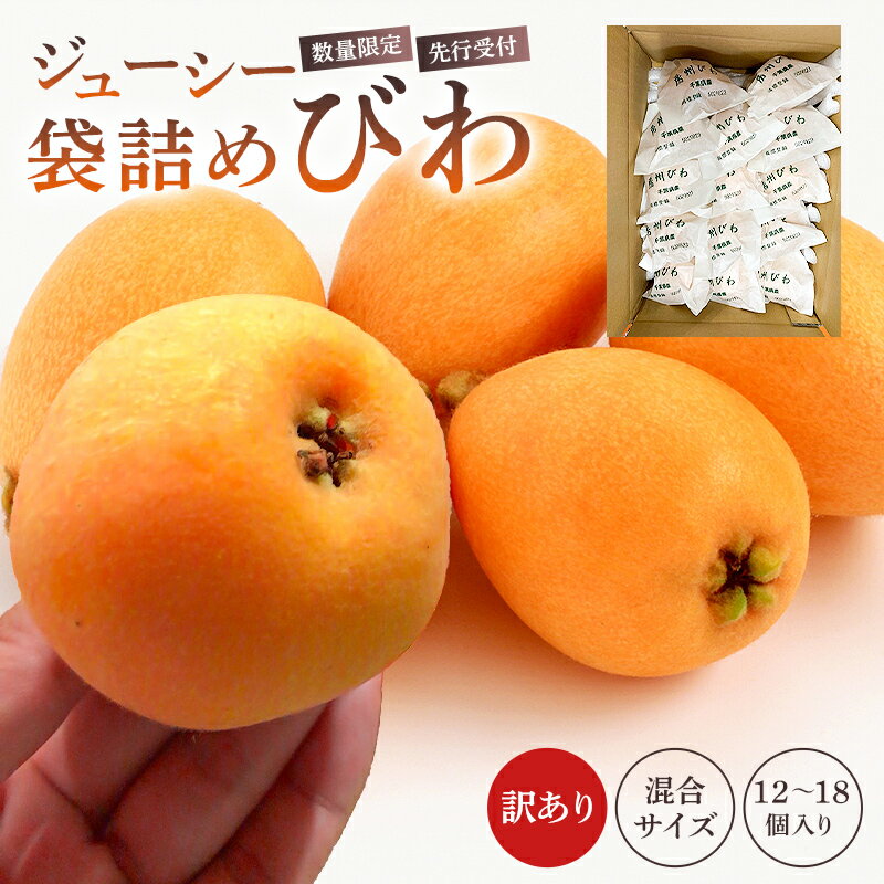 【ふるさと納税】【先行受付 2026年5月中旬～6月中旬発送予定】【数量限定】生産者直送　ジューシー袋詰めびわ（訳あり混合サイズ12～18個） 千葉県 南房総市 果物 フルーツ 季節限定 新鮮 食べ応え 甘い 程よい酸味 お取り寄せ 送料無料