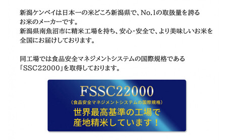 無洗米 吟精 新潟産コシヒカリ５kg 令和6年産 精米
