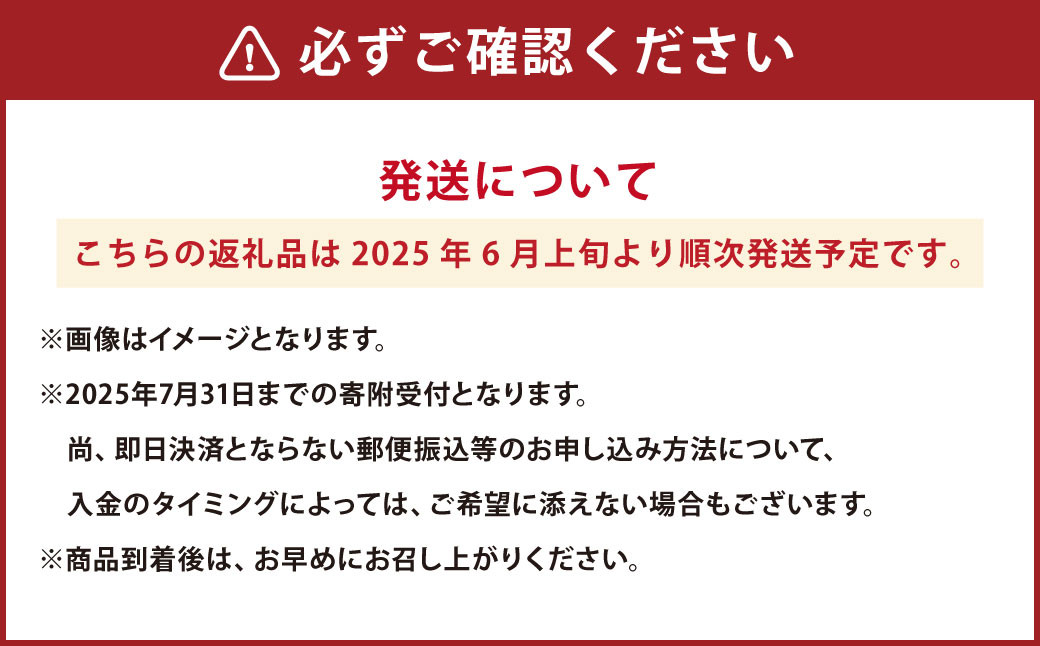 熊本県産 黒小玉スイカ 1玉 と マスクメロン 1玉 合計2玉