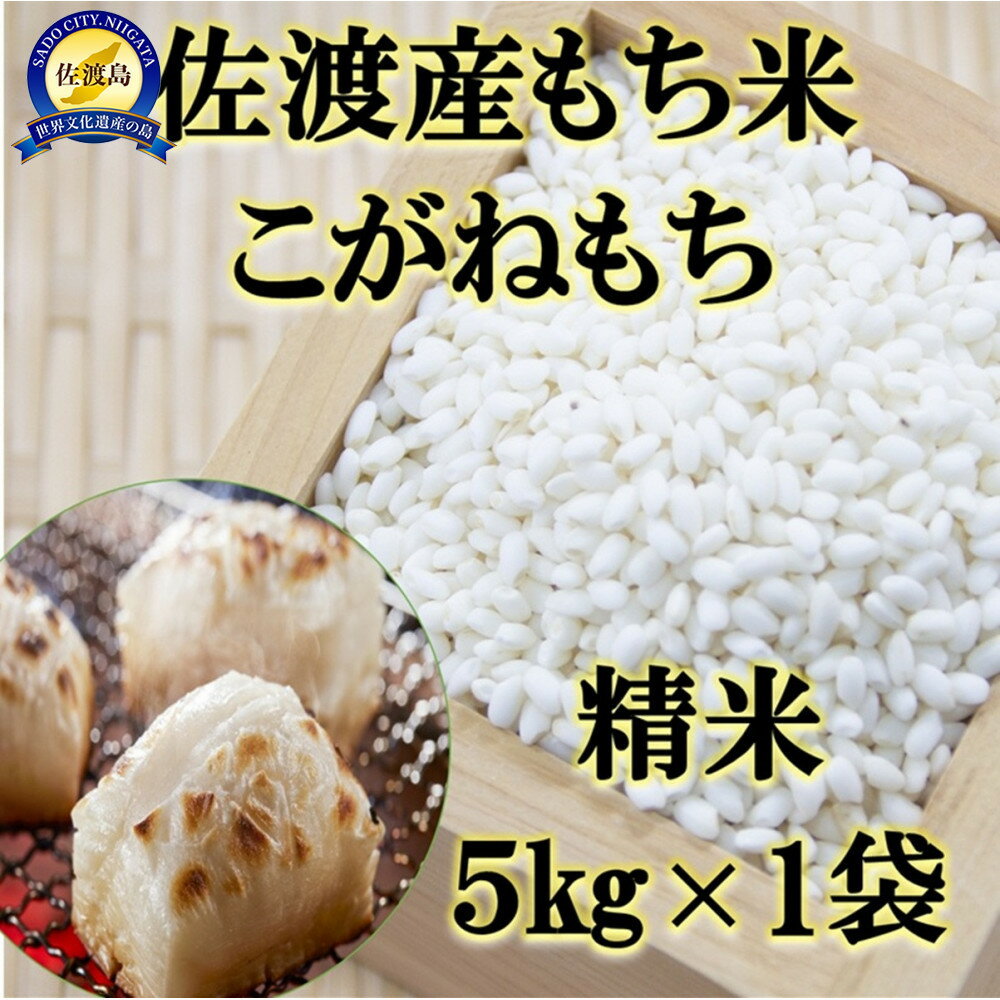 【ふるさと納税】【令和7年産】佐渡産もち米 こがねもち 精米5kg×1袋