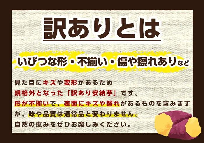 訳あり 安納芋 10kg・サイズミックス 国産 鹿児島 種子島 さつまいも  B級 【種子島安納株式会社】n462