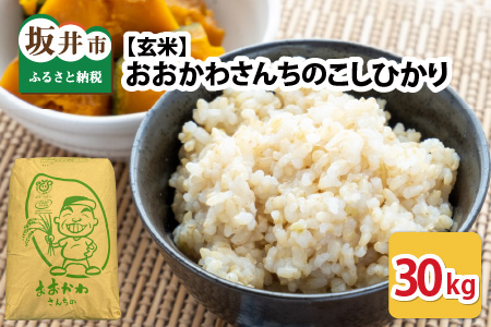 【令和7年産】 おおかわさんちのコシヒカリ玄米 30kg [F-10803]