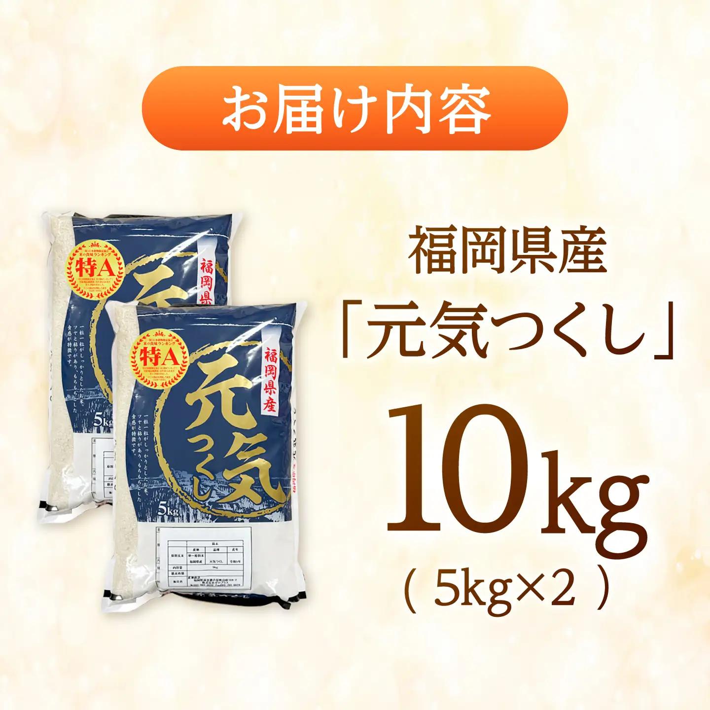 【先行予約】【令和7年産】元気つくし白米10kg(5kg×2袋) [BGAA092] 元気つくし 10キロ