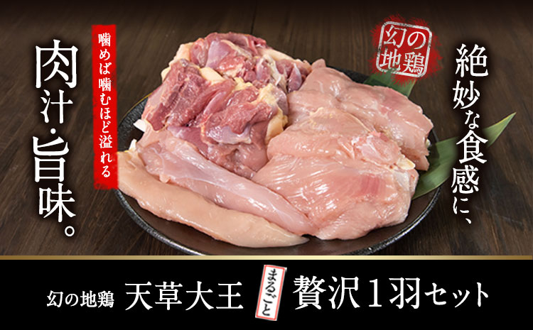天草大王 贅沢1羽セット 約1.5kg 《60日以内に出荷予定(土日祝除く)》 【幻の地鶏】もも・むね・ささみ 各2枚