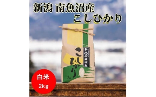 
            【12月20日ご入金確認分まで年内発送】【令和7年産】南魚沼産コシヒカリ（白米）【2kg】
          