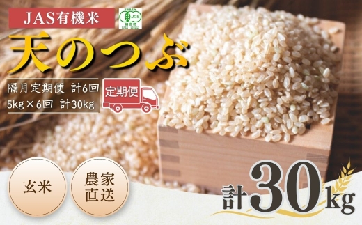 【先行予約】【隔月定期便】天のつぶ 玄米 30kg (5kg×6回) JAS有機米 令和8年産 | JAS 有機米 米 コメ 福島県産 根本有機農園 オーガニック米 福島県産天のつぶ 福島天のつぶ