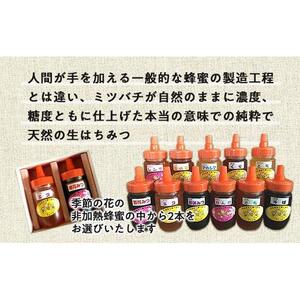 国産非加熱蜂蜜150ｇ2本セット【ハニー 蜂蜜 食品 人気 おすすめ 】