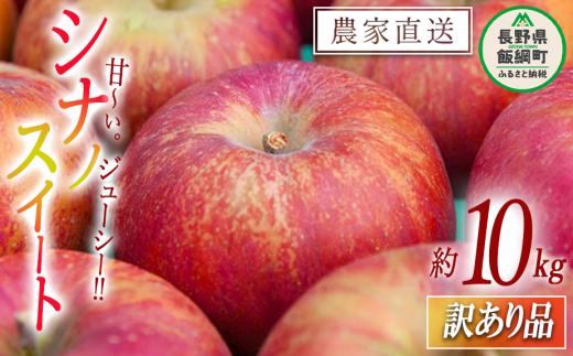 りんご シナノスイート 訳あり 10kg マルカズりんご農園 沖縄県への配送不可 2025年10月上旬頃から2025年10月下旬頃まで順次発送予定 令和7年度収穫分 傷 不揃い リンゴ 林檎 果物 フルーツ 信州 長野 18000円 予約 農家直送 長野県 飯綱町 [1391]