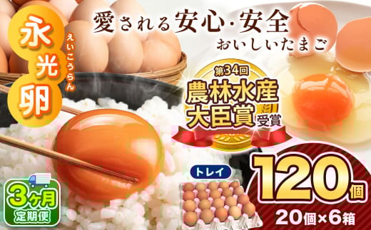 ＼ 2週間以内 に発送 ／ 【 定期便 3回 】メディア紹介多数！ 永光卵 120個 卵 たまご 選べる 個数 回数 トレイ タイプ | スピード発送 送料無料 えいこうらん 光永ファーム みつなが 安心 安全 おいしい卵 ゆうパック 君津市 きみつ 千葉県 すぐ届く