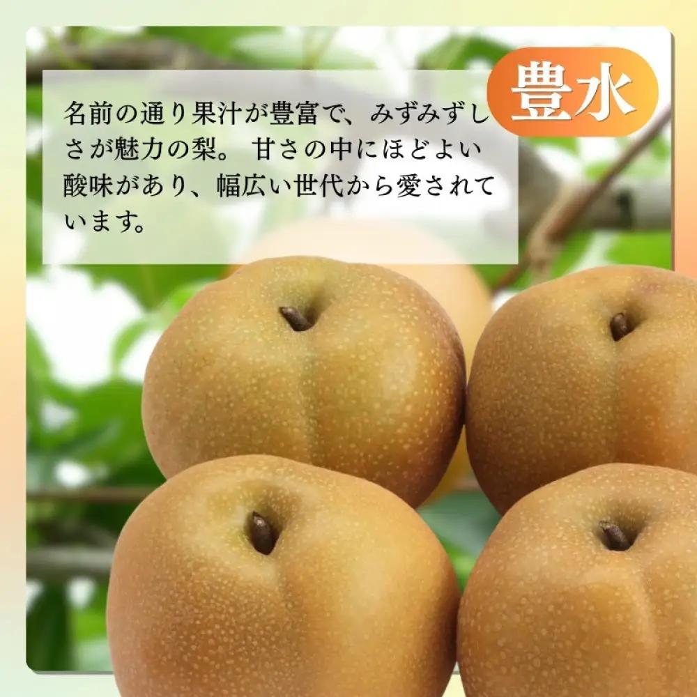 長野市産 梨 3kg（6～12玉）【2026年9月上旬以降発送予定】(さらしな青果) | 梨 フルーツ