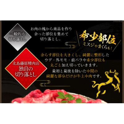 牛肉 訳あり 阿波黒牛 牛上中肉 切り落とし 500g 北島藤原精肉店 徳島県【配送不可地域：離島】【1688730】