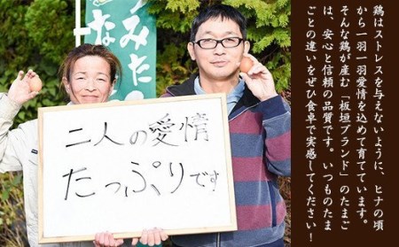 濃厚お取り寄せたまご「美幸卵」 計50個 （割れ保証10個含） 山形県産 山形産 【2024年3月10日発送分】　012-G-BK006-03