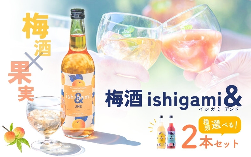 
梅酒ishigami&（イシガミアンド）選べる2本セット / 田辺市 梅干し 梅干 梅 うめ 梅ジュース 炭酸割り 紀州産 南高梅 完熟梅 フルーツ
