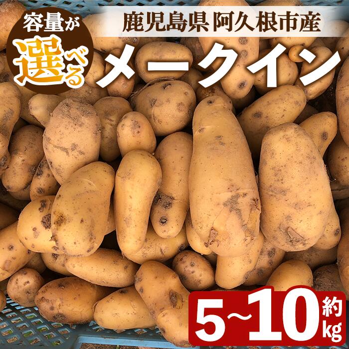 【ふるさと納税】＜先行予約受付中！2026年6月以降順次発送予定＞＜内容量が選べる！＞じゃがいも メークイン(5〜10kg) 国産 鹿児島県産 阿久根市産 じゃがいも ジャガイモ 芋 ポテト 野菜 期間限定 数量限定 スープ カレー シチュー 常温 常温配送【慶越農園】