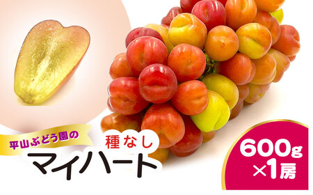 平山ぶどう園のマイハート（種なし）600g × 1房 / KTRBV002 / ぶどう ブドウ 葡萄 種なし たねなし フルーツ 果物 令和7年発送
