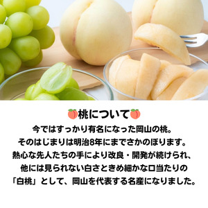 詰合せ 白桃 晩生種 2玉 シャインマスカット 1房 合計約1.0kg 岡山県産 【先行予約 2025年8月下旬から順次発送】