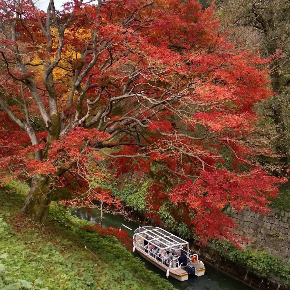 
【びわ湖疏水船：三井寺便】秋シーズン先行予約権（２名様分の先行予約の権利）
