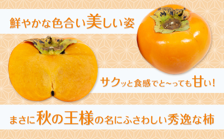 秋王 約1.7kg《11月上旬-11月末頃出荷》福岡県 鞍手郡 小竹町 柿 かき カキ 種なし 種無し 福岡県産 果物 くだもの フルーツ
