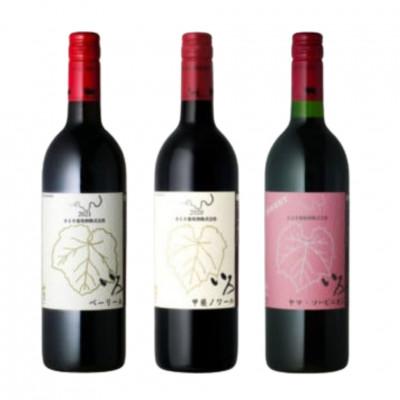 ふるさと納税 甲州市 まるき【いろシリーズ】計3本 いろベーリーA いろ甲斐ノワール いろヤマ・ソービニオン C-1657