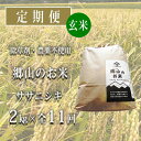 【ふるさと納税】秋田県産ササニシキ（玄米）郷山のお米2kg×11ヶ月定期便（11回 11ヵ月）　【定期便・ササニシキ 玄米 お米】