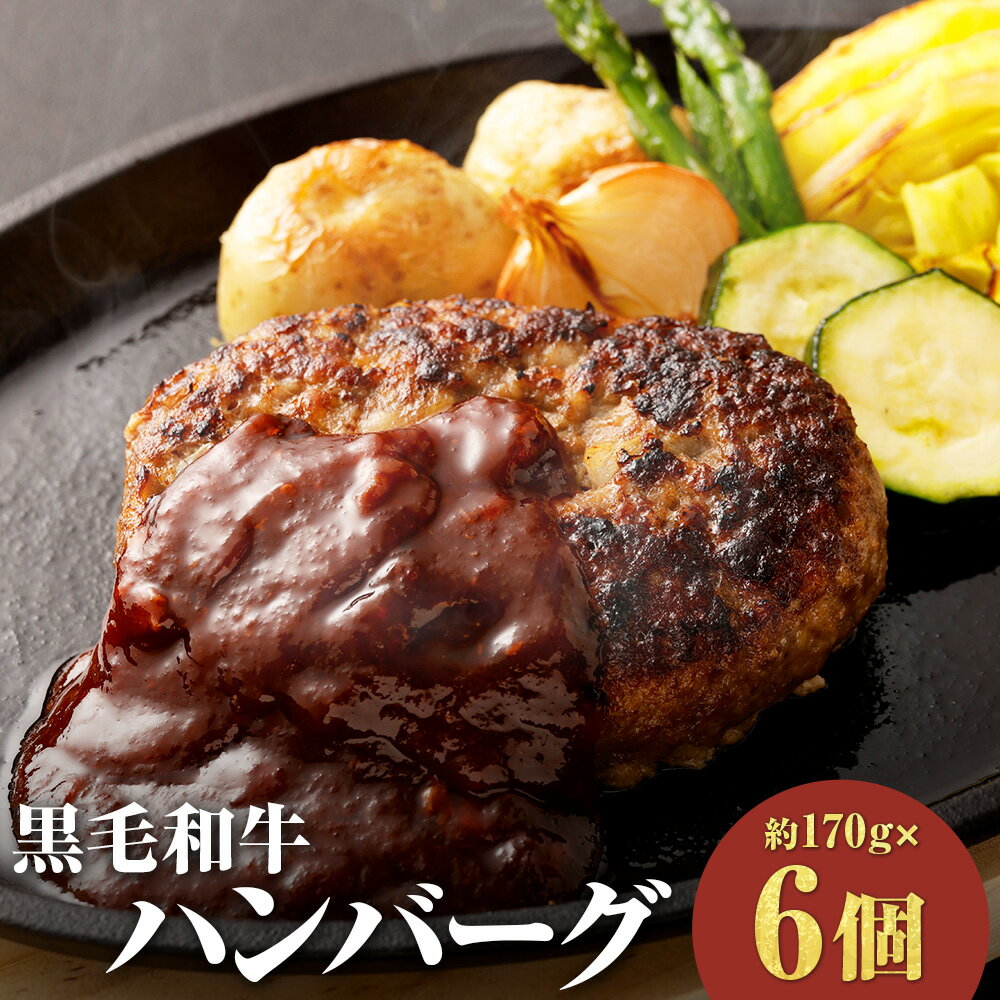 【ふるさと納税】【黒毛和牛】 おおいた和牛 ハンバーグ 合計約1.02kg （約170g×6個） 豊後牛 ブランド牛 牛肉 和牛 お肉 肉 ビーフ 赤身肉 赤身 牛赤身肉 合挽肉 贈り物 国産 九州産 冷凍 大分県 竹田市 送料無料