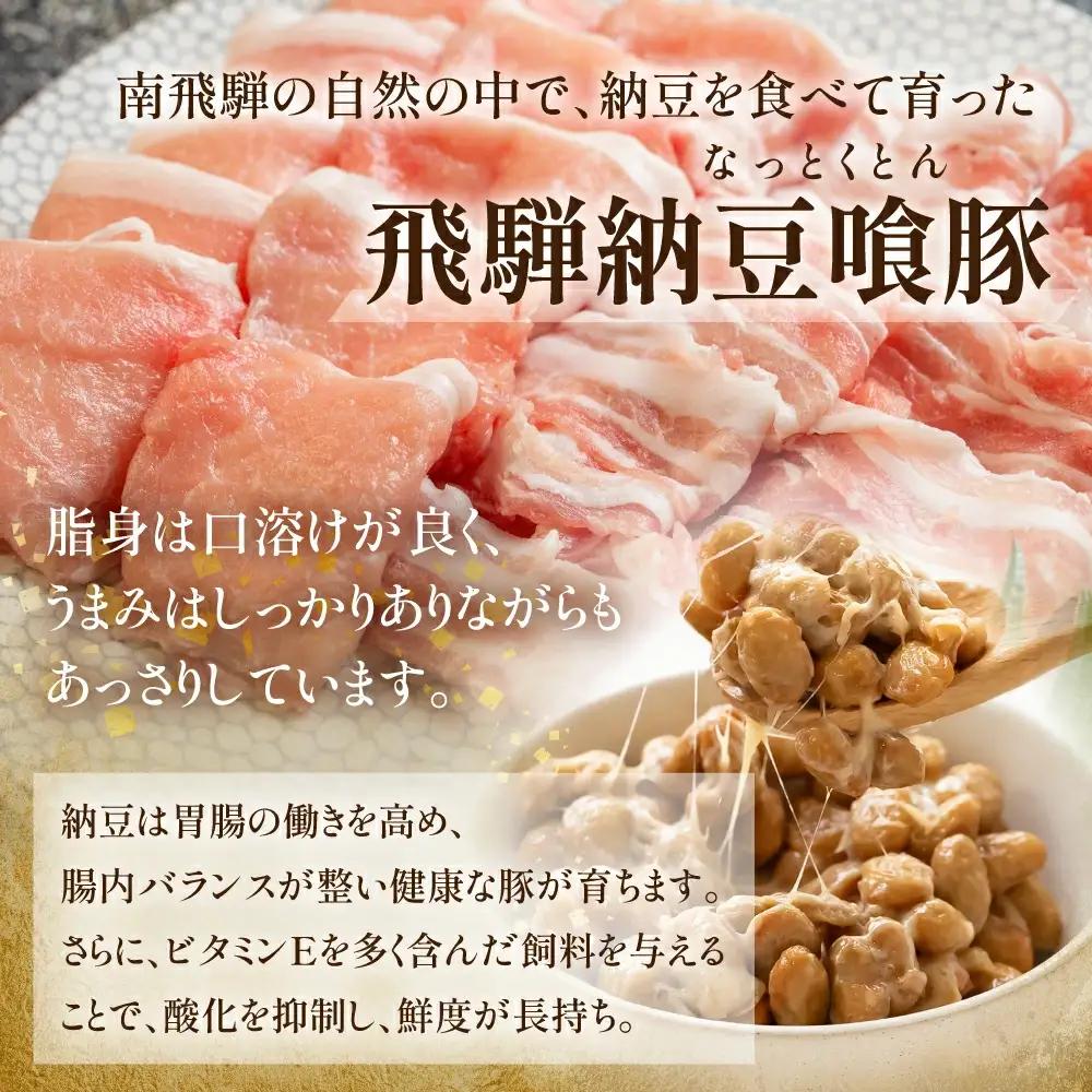 【定期便6回】 飛騨牛 ＆ なっとく豚 ブランド肉 定期便 6回 (ステーキ / すき焼き / しゃぶしゃぶ / 焼き肉) 【tc2】