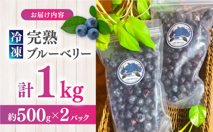 冷凍 完熟 ブルーベリー 計1kg (約500g×2P) 冷凍ブルーベリー 小分け ブルーベリー 冷凍フルーツ 熊本県産ブルーベリー 完熟ブルーベリー 山都町ブルーベリー【マルク ザ・ガーデン】 [Y