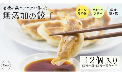 葉 にんにく と 四万十豚 で作った 最高級餃子 （ 6個入り × 2 パック ） 餃子 ギョーザ 焼き餃子 やきぎょうざ ぎょーざ こだわり 大容量 冷凍 冷凍餃子 簡単 調理 簡単調理 惣菜 冷凍食品 おかず 弁当 中華 中華料理 料理 プレゼント ギフト 贈り物 高知県 須崎市 EA0271_3x
