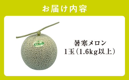 【先行予約】暑寒メロン メロン 1玉 26年7月中旬～