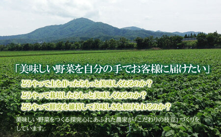 【令和8年産先行予約】【8/10～8/16発送】 朝採り生だだちゃ豆 1.2kg(600g×2袋) 山形県鶴岡市産　株式会社菜な八（鶴岡ファーマーズ）