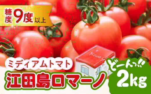 「食の安全」を守りたい！自然を活用した低農薬栽培！【11月上旬～翌年6月末まで順次発送】江田島ロマーノ トマト 2kg  とまと料理 美容 新鮮 健康 野菜 広島 江田島市/有限会社グリーンファーム沖美[XAB005]