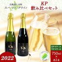 【ふるさと納税】北海道産 スパークリング ワイン 750ml 各1本 KPワイン T S テロワール ぶどう ナイアガラ 葡萄 ブドウ 白ワイン 辛口 酒 お酒 贈答 贈り物 お祝い ギフト 記念日 送料無料　【 辛口ワイン 果実の香り フルーティー 飲みやすい 】