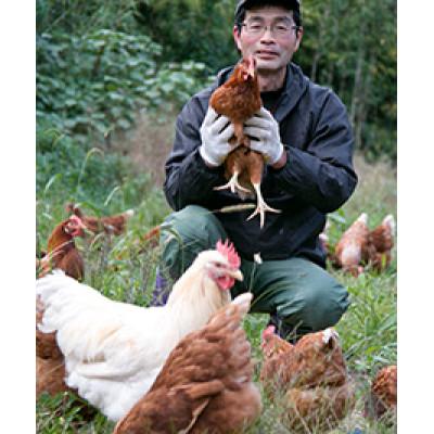 ふるさと納税 日置市 桜島大根とオリーブ鶏のサムゲタン3種6袋セット |  | 03