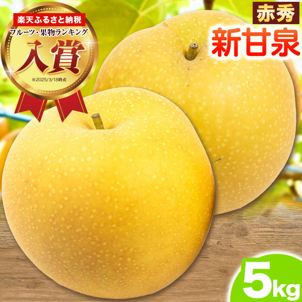【ふるさと納税】ランキング入賞 梨 新甘泉 赤秀 約5kg JA鳥取いなば《8月下旬-9月上旬頃出荷》鳥取県 八頭町 なし 果物 しんかんせん フルーツ ふるさと納税 送料無料 果実 果汁 常温便