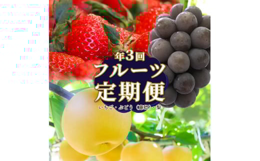 ＜フルーツ 定期便（全３回）＞ ［いちご　藤稔　梨］  ぶどう fruit 苺 おすすめ 旬 果物 くだもの 高知県 佐川町産