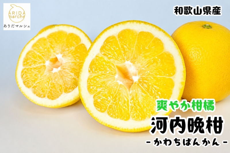  爽快 柑橘 有田 育ちの爽やか 河内晩柑 （ ご家庭用 わけあり ）3kg+200g(補償分) / 晩柑 宇和ゴールド ジューシーオレンジ 愛南ゴールド ナダオレンジ 天草晩柑 夏文旦 和歌山 ※北