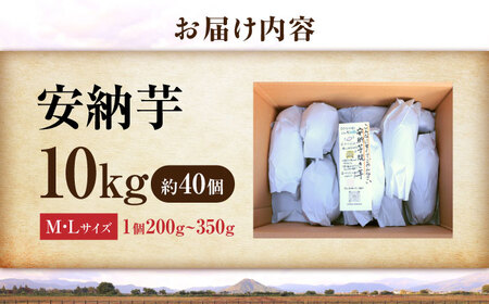 さつまいも【厳選】熟成安納芋 10kg[AQCF008]サツマイモ