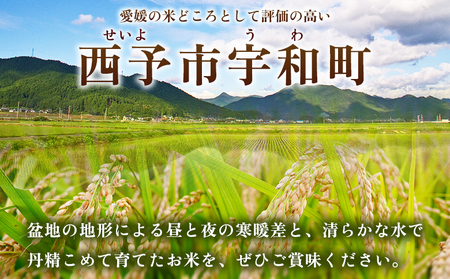 ＜にじのきらめき 約10kg（5kg×2袋）＞ 10キロ ニジノキラメキ 米 お米 コメ こめ 白米 精米 ご飯 ライス 大粒 穀物 西予応援米 特産品 愛媛県産 西予市産 宇和町産 前田農園 愛媛県