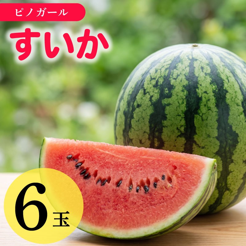
                  【先行予約】 すいか Mサイズ 6個 スイカ 西瓜 令和8年度産 ピノガール 果物 フルーツ くだもの デザート おやつ 甘い ジューシー 数量限定 期間限定 夏 新鮮 旬 旬の果物 贈答用 お中元 プレゼント ギフト 新鮮 美味しい おすすめ お取寄せフルーツ 国産 人気 産地直送 農家直送 静岡すいか 静岡スイカ 静岡西瓜 牧之原すいか 牧之原スイカ 牧之原西瓜 牧之原市 静岡県 福代農園
                