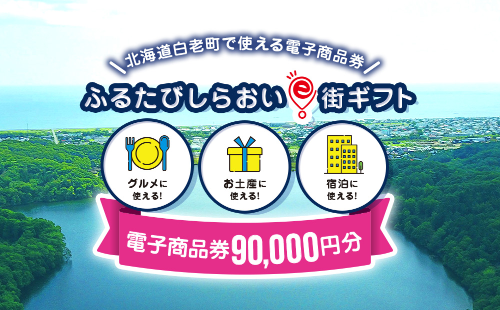 【ANAの旅先納税】ふるたびしらおいe街ギフト　90,000円分 EG005