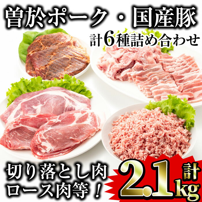 【ふるさと納税】鹿児島県曽於市産曽於ポーク5種類・国産豚ミンチ詰め合わせ(合計2.1kg) 国産 鹿児島県産 小分け 冷凍 豚肉 トンテキ みそ漬け 切り落とし 豚ミンチ 肩ロース 生姜焼き 豚バラ 焼肉 味噌漬け 詰め合わせ【Rana】