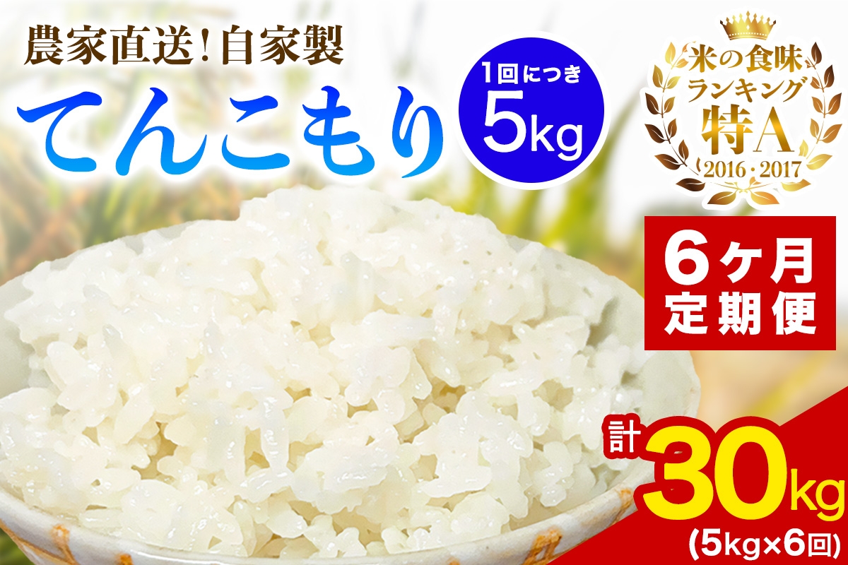
                  [定期便／6ヶ月連続 ]新米 [令和8年産／11月上旬より順次発送] 伊勢原産 精米5kg てんこもり 農家直送！加藤さんちのうんめぇ！自家製米｜ お米 おこめ コメ 白米 神奈川 伊勢原 [1111]
                