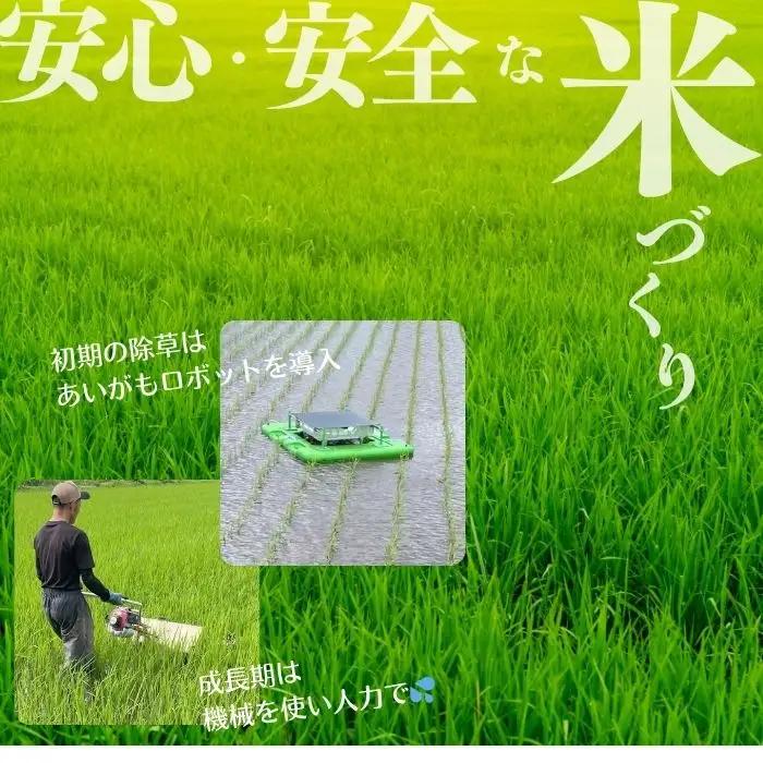 令和7年産 今野農園 ゆめぴりか 精米 10kg 【ピリカ(株)】 化学肥料不使用 米 お米 北海道米 特Aランク 国産 白米 コメ 2025年産 北海道 比布町 ぴっぷ 1012-005