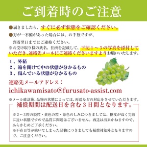 シャインマスカット 【2026年発送】秀品 山梨 2房 (約1.1kg) ぶどう 葡萄 山梨県 フルーツ 果物 くだもの ギフト 産地直送 人気 Inakakara厳選 [5839-1978]